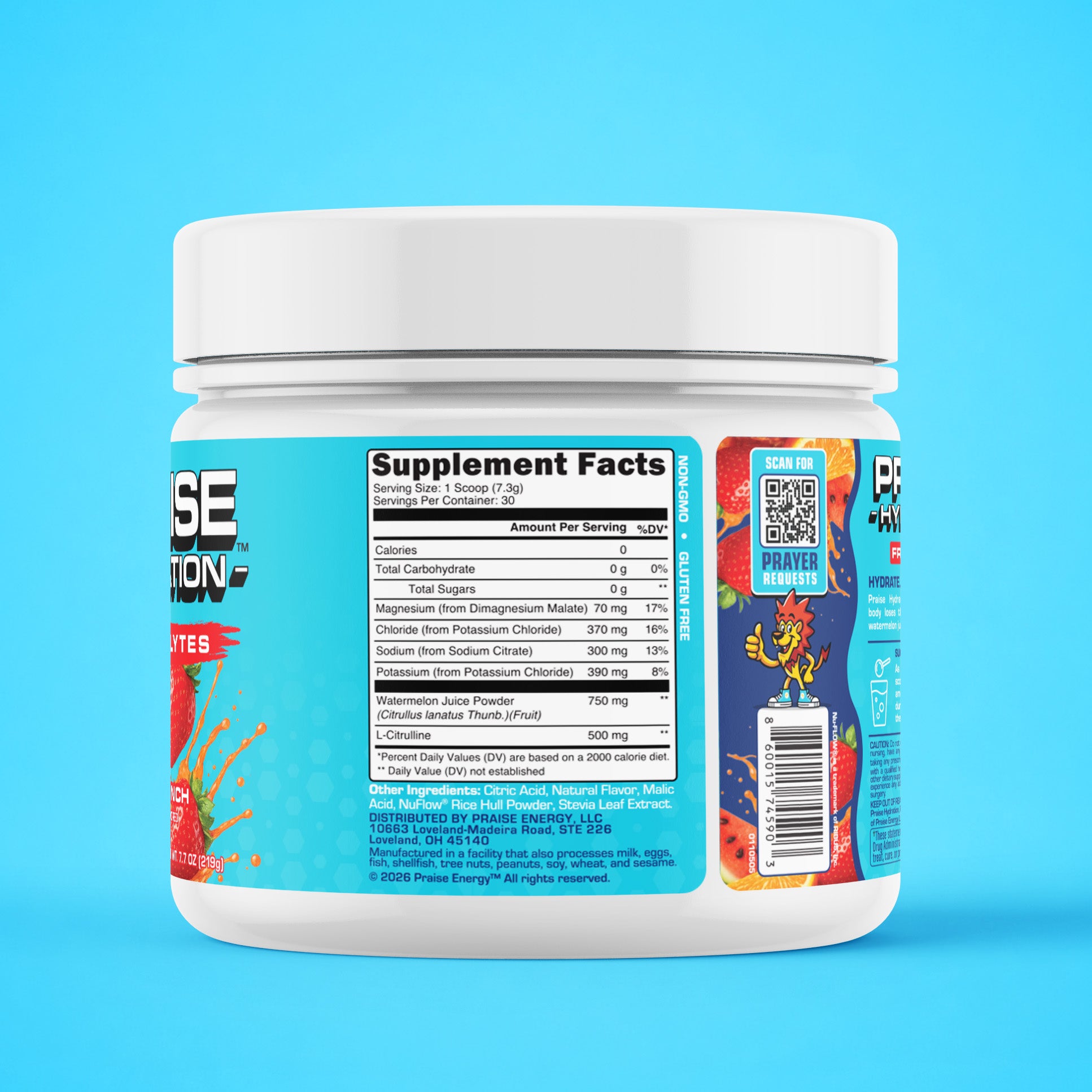 Praise Hydration Electrolytes - Fruit Punch